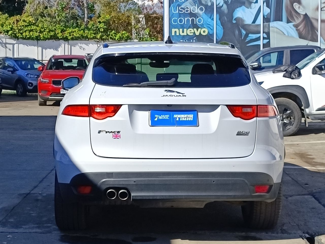JAGUAR - 6