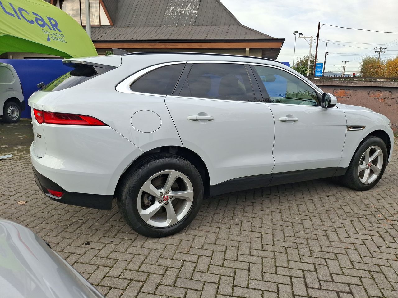 JAGUAR - 7