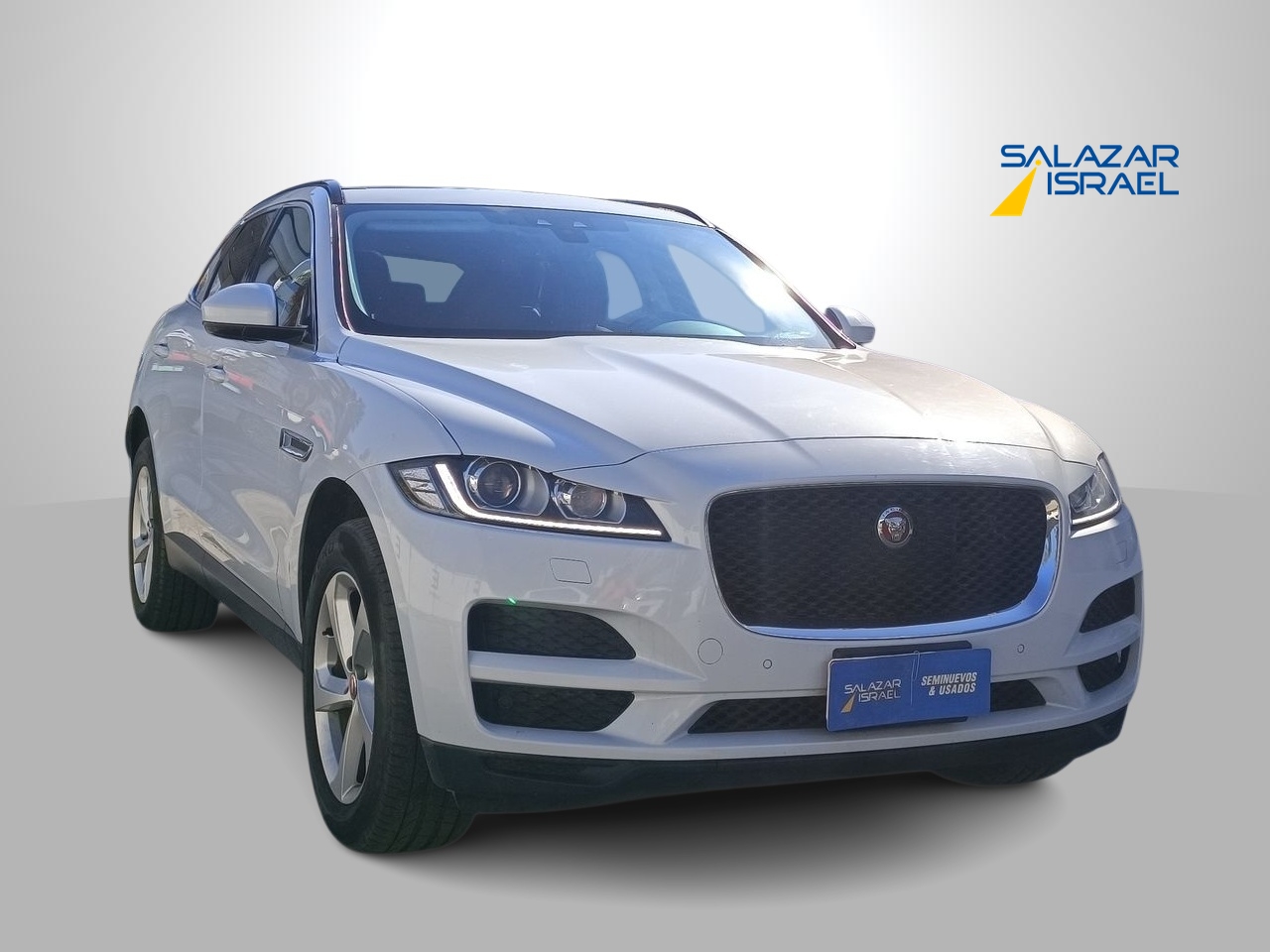 JAGUAR