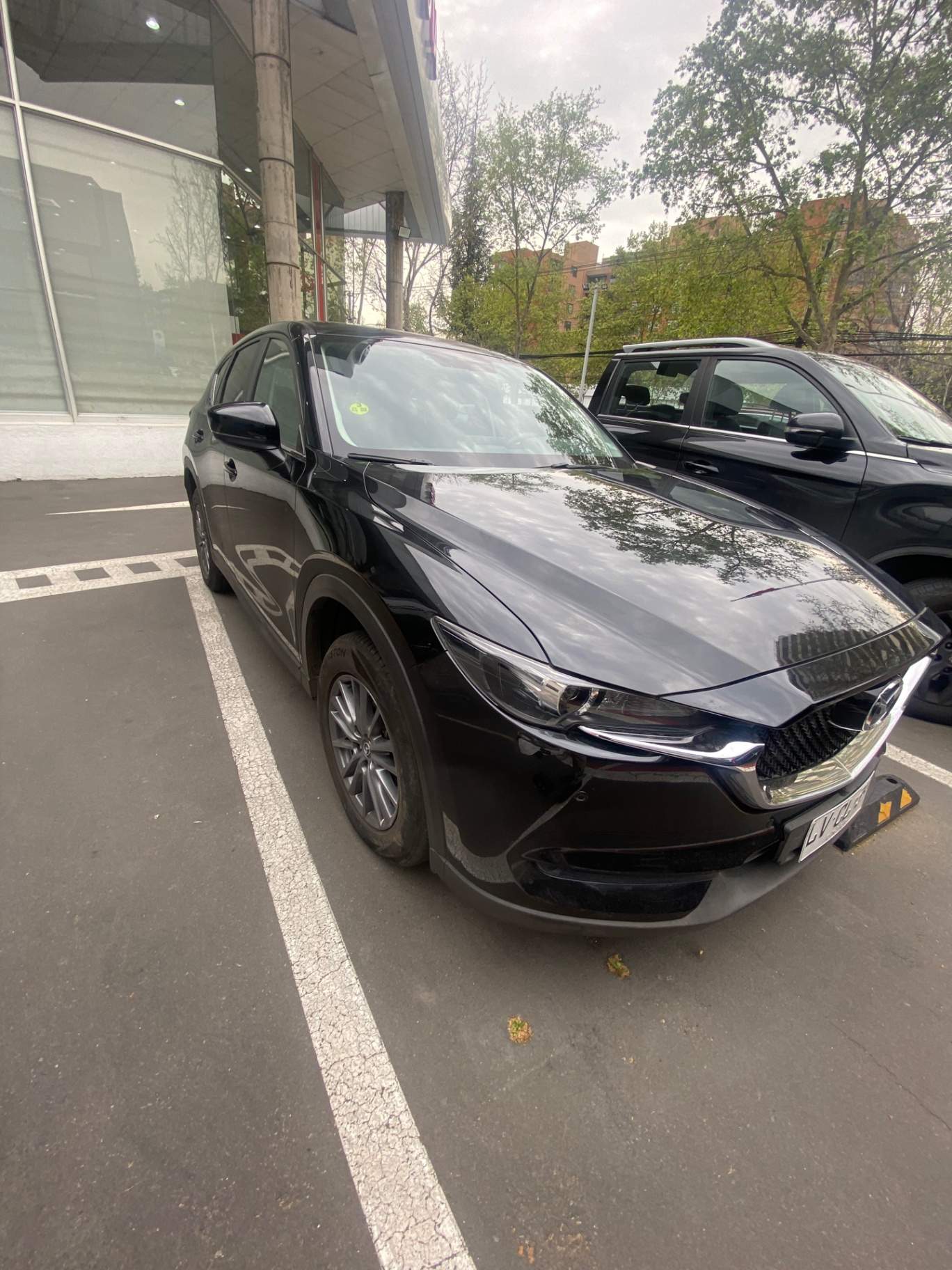 MAZDA