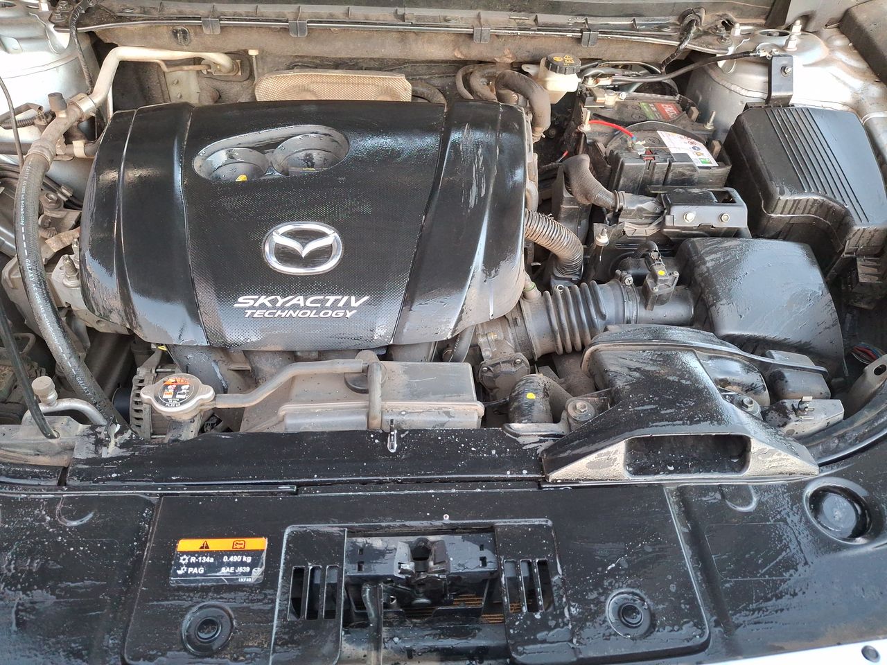 MAZDA - 8