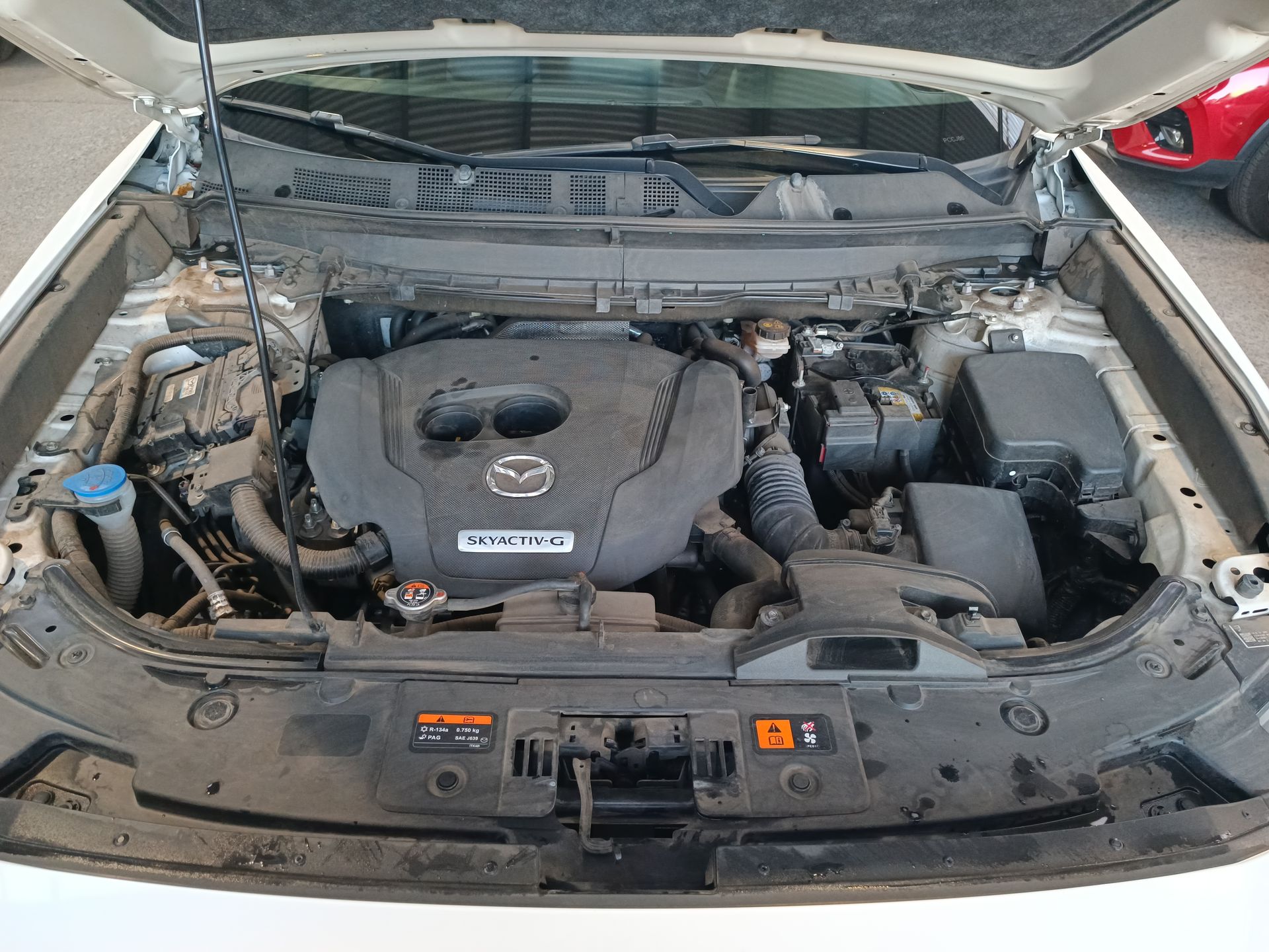 MAZDA - 32