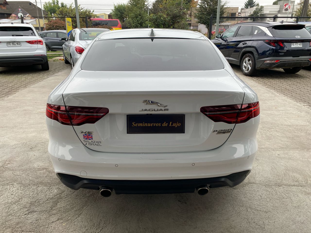 JAGUAR - 6