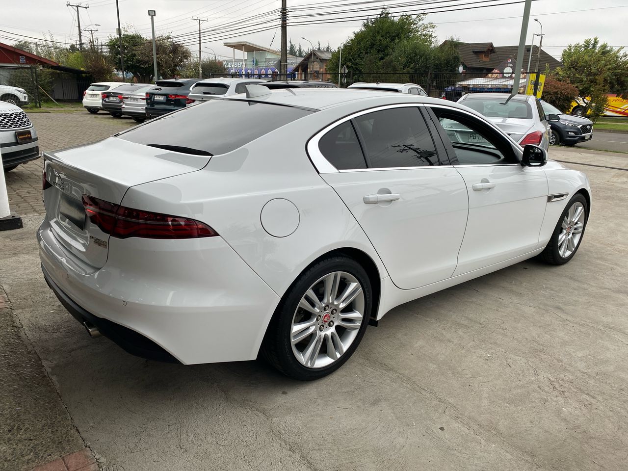 JAGUAR - 7
