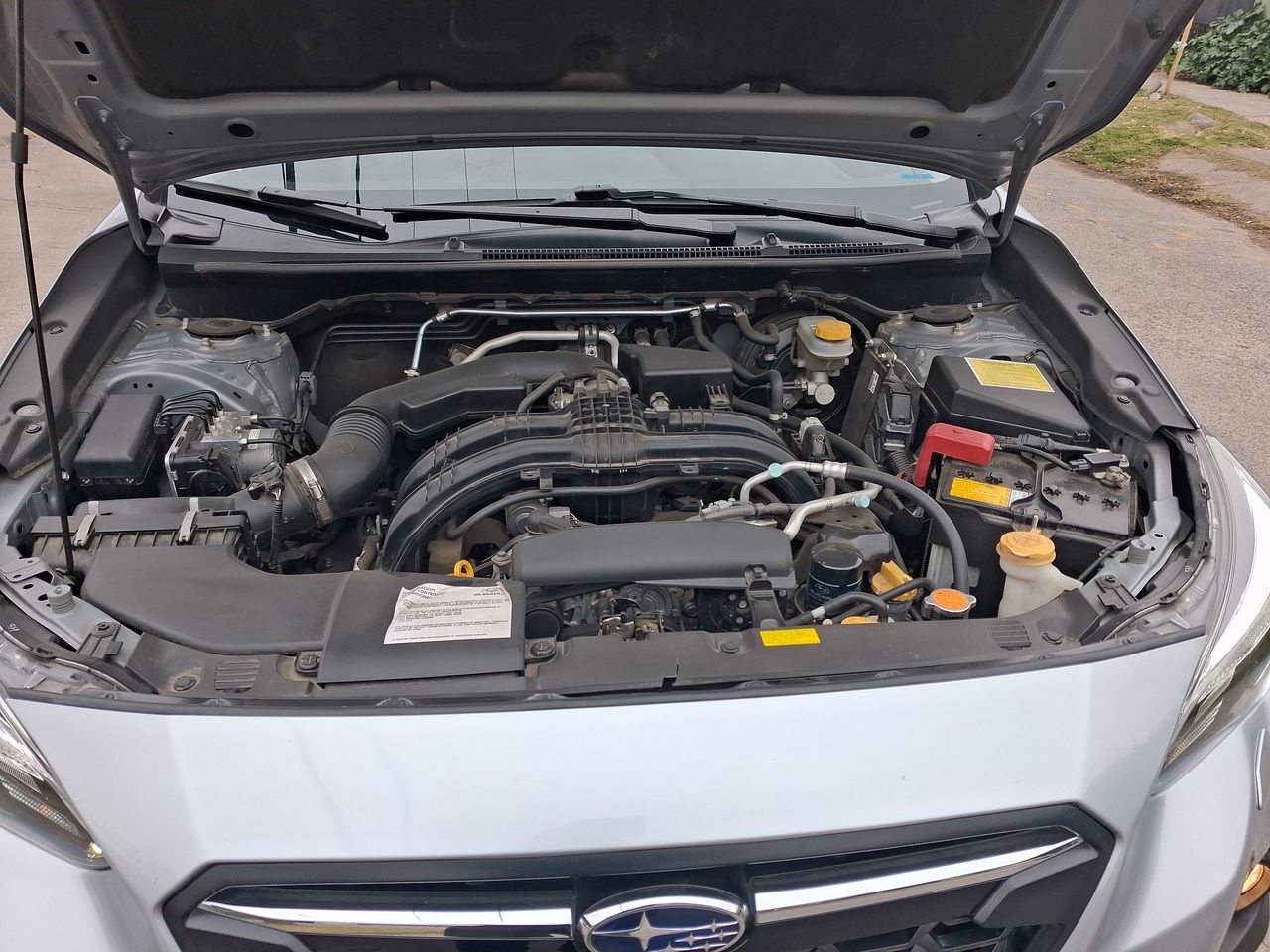 SUBARU - 8