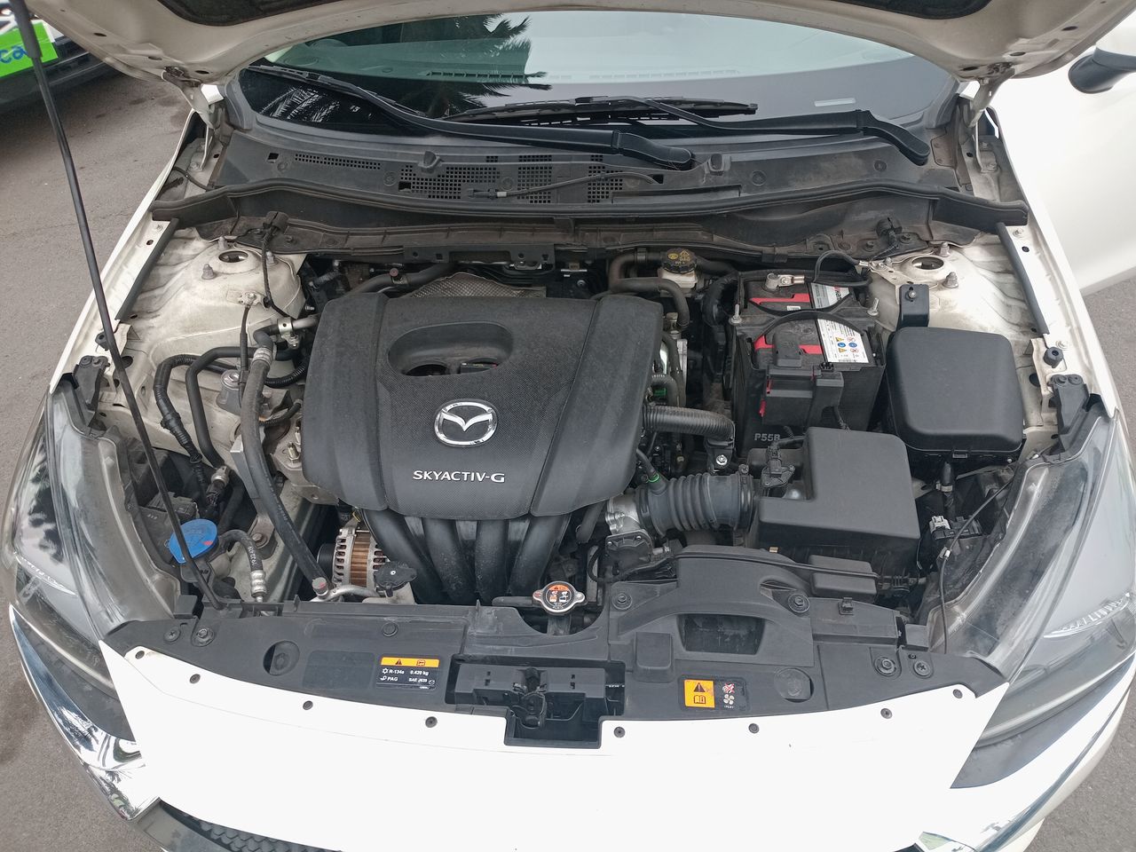 MAZDA - 8