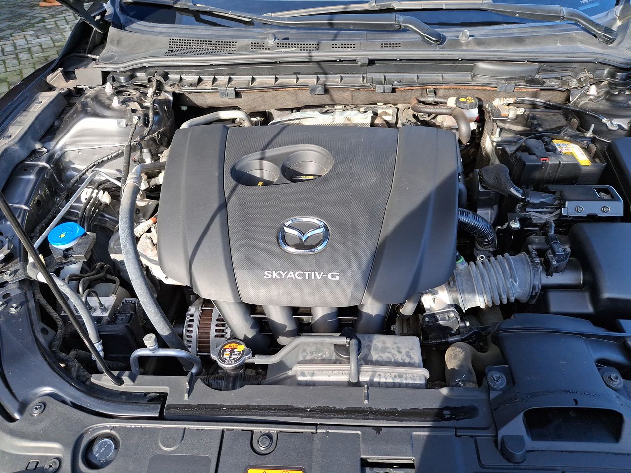 MAZDA - 17