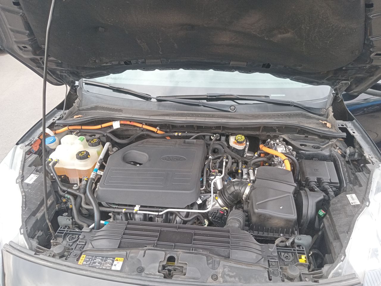 Ford Escape — foto 9 de 28