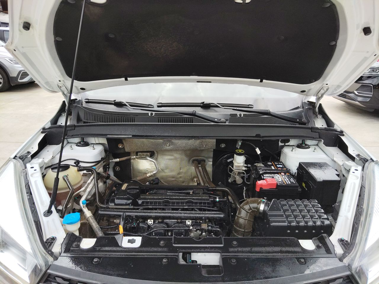 CHERY - 18