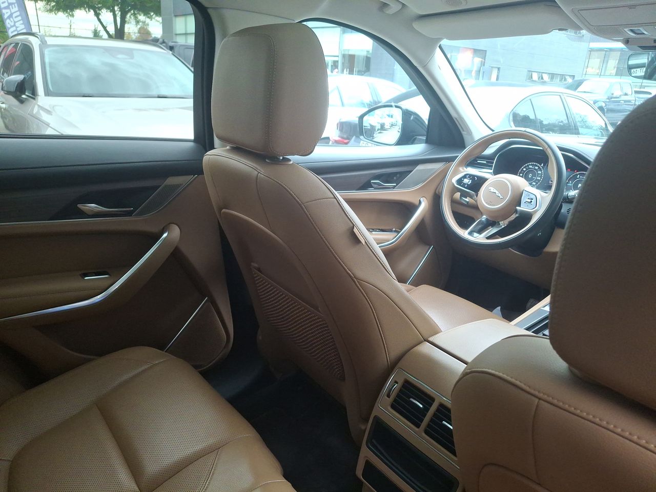 JAGUAR - 14