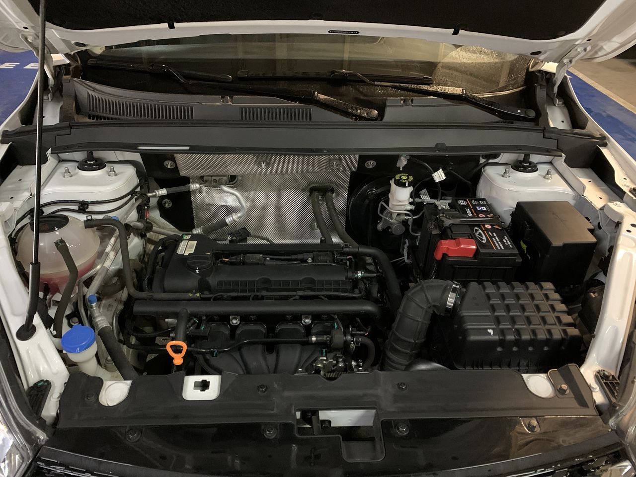 CHERY - 22