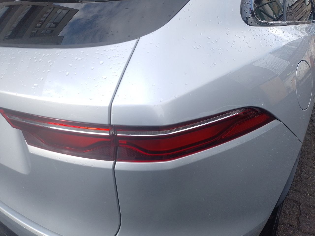 JAGUAR - 20