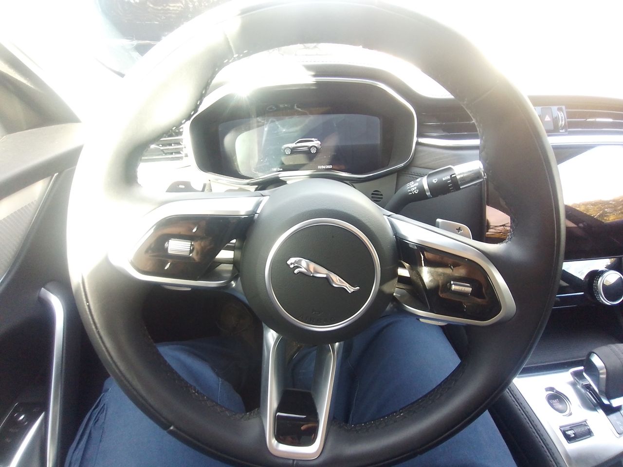 JAGUAR - 25