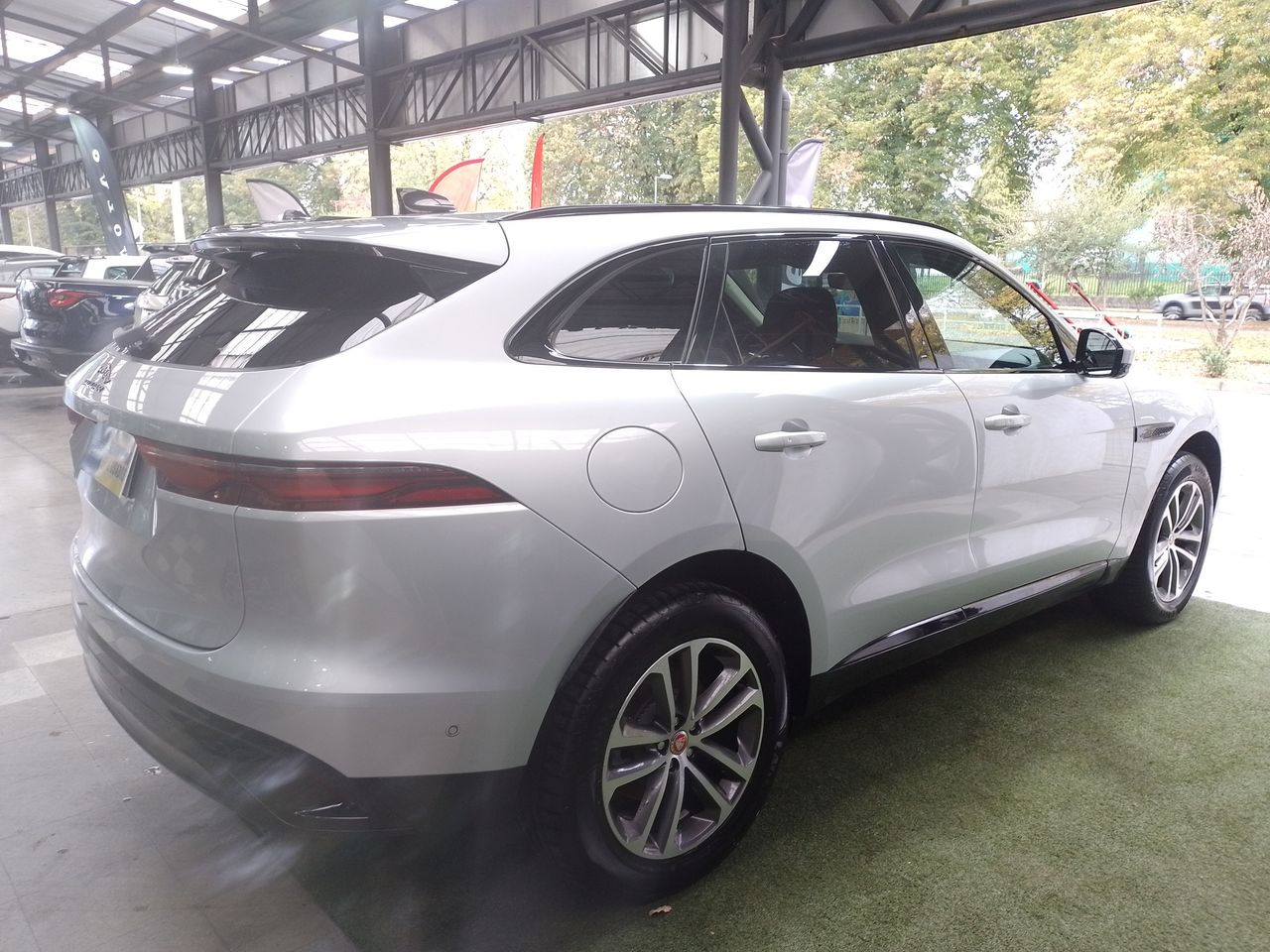 JAGUAR - 7