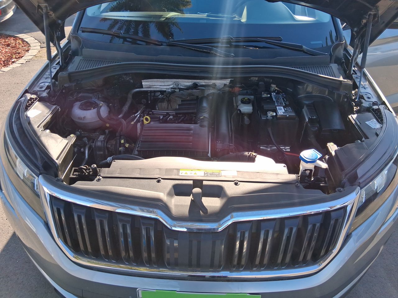 SKODA - 18