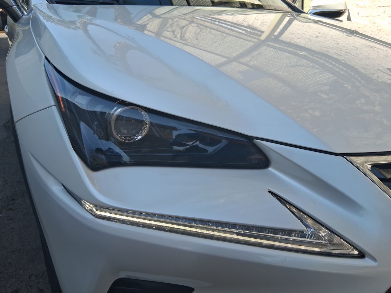 LEXUS - 14