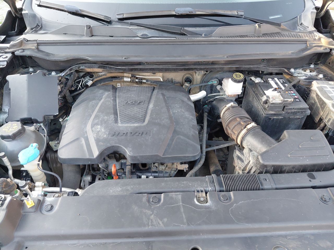 HAVAL - 10