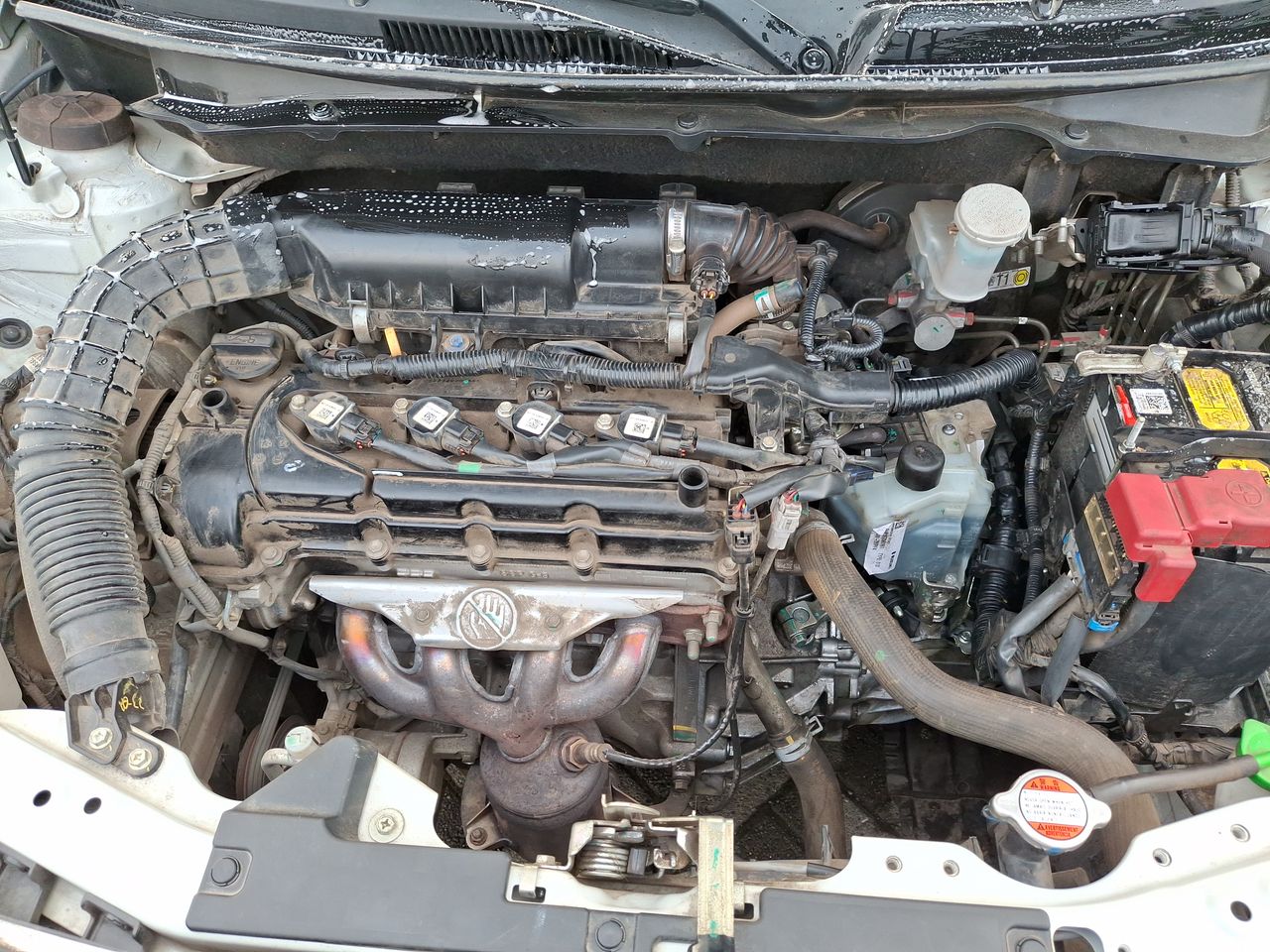SUZUKI - 9