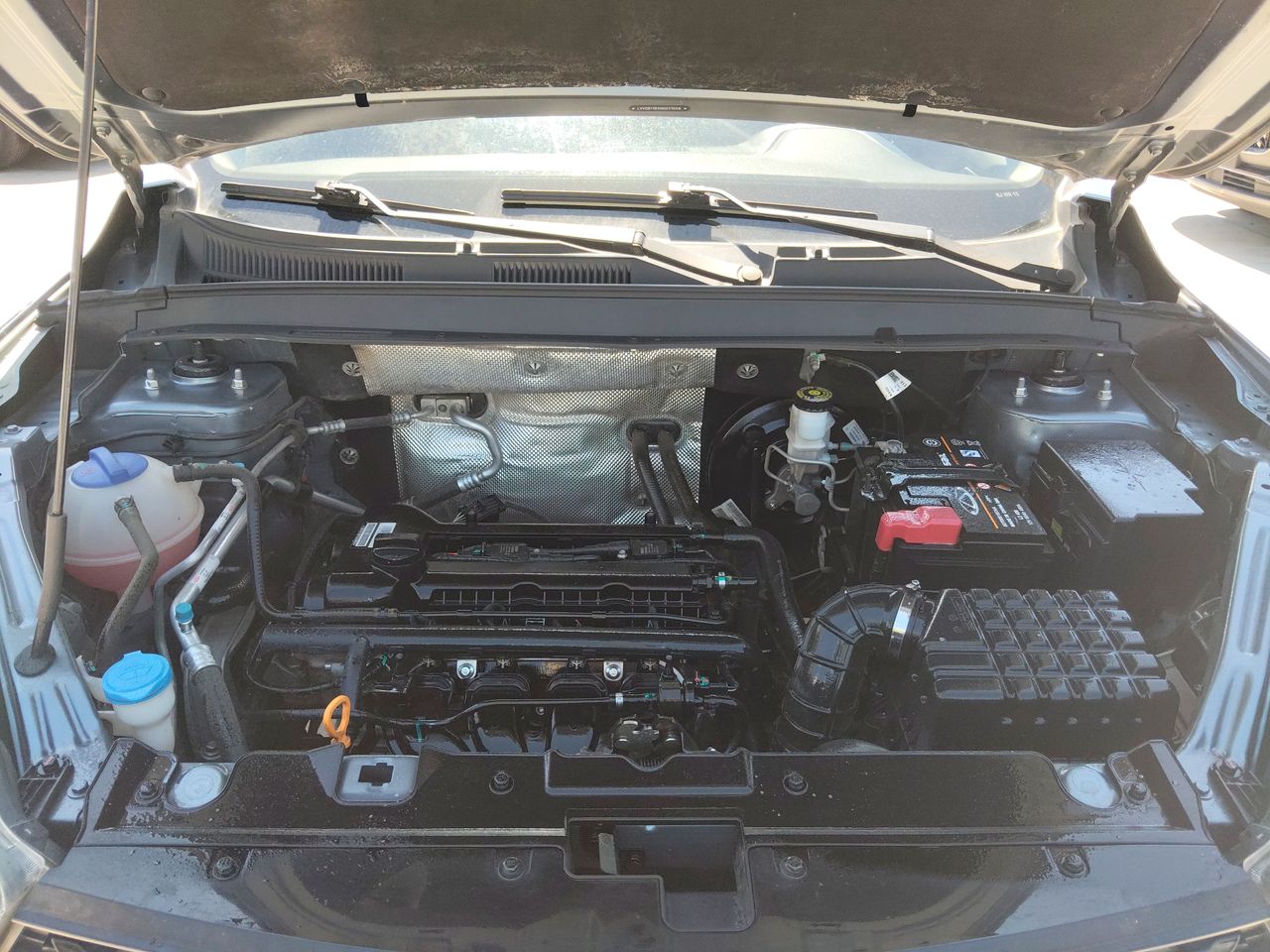 CHERY - 18