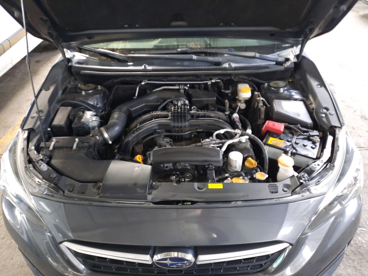 SUBARU - 18
