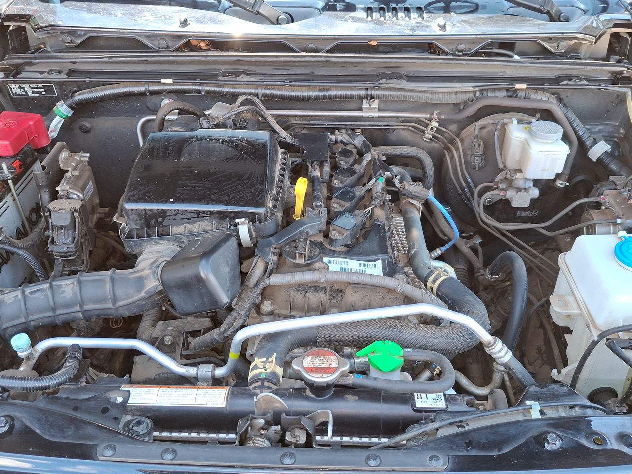 SUZUKI - 17