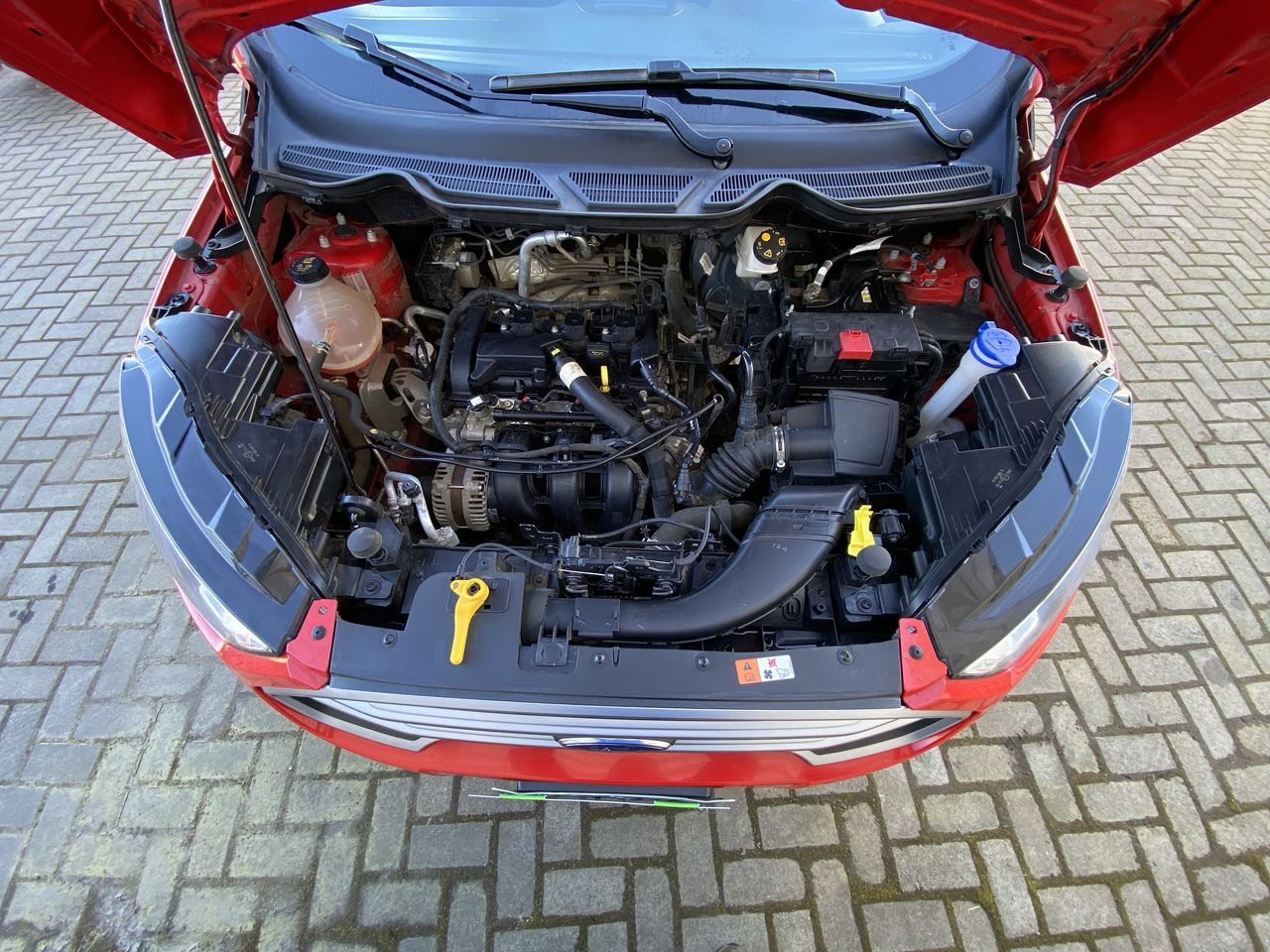 Ford Ecosport — foto 19 de 36