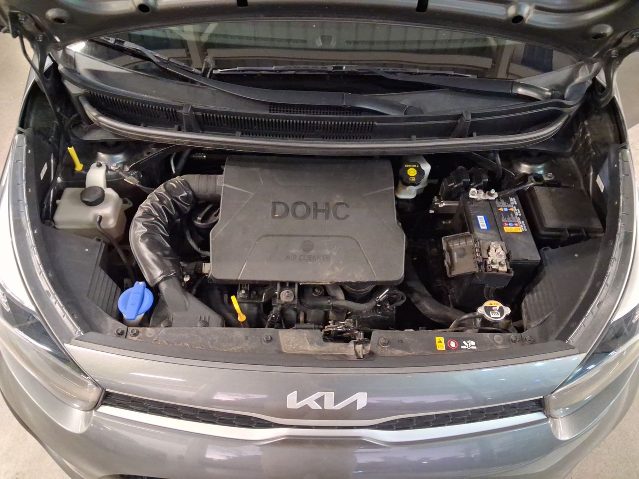 KIA - 18