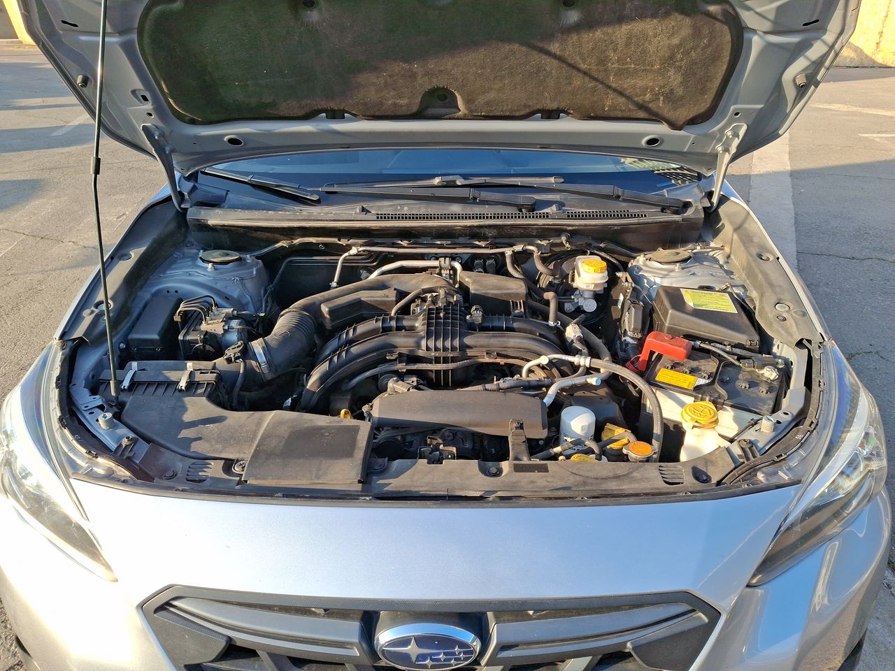 SUBARU - 18