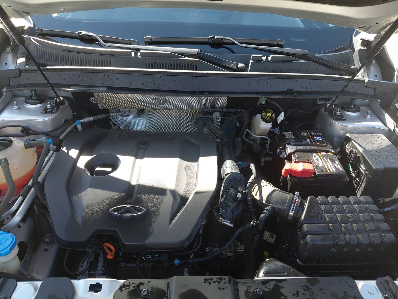 CHERY - 18