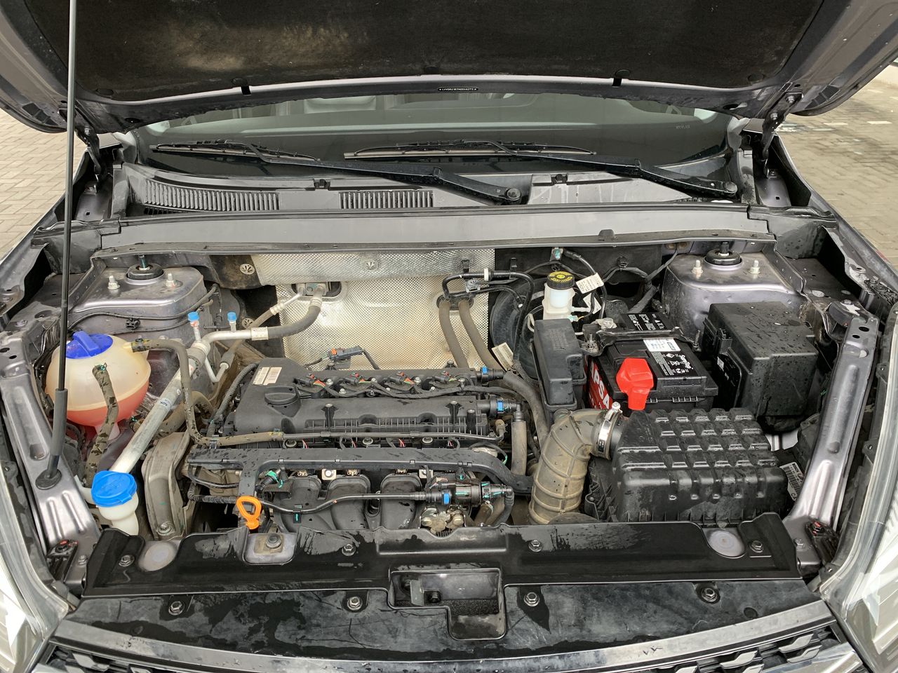 CHERY - 18
