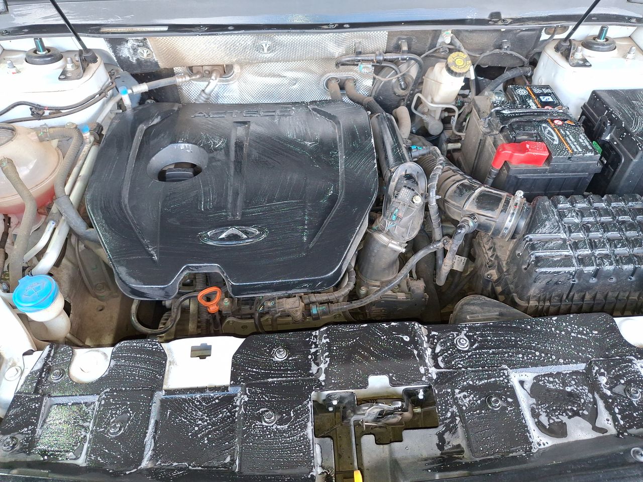 CHERY - 17