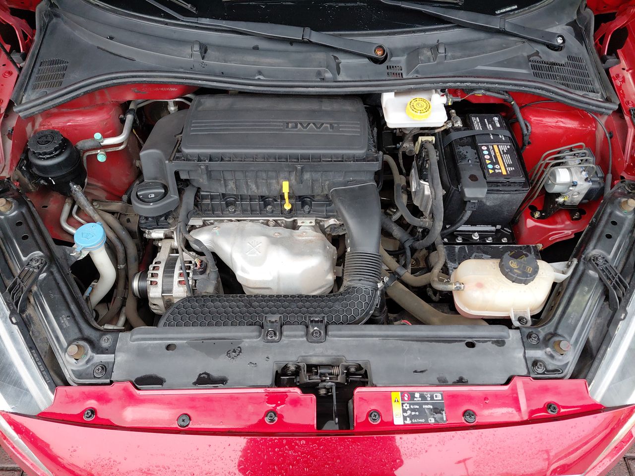 MG - 8