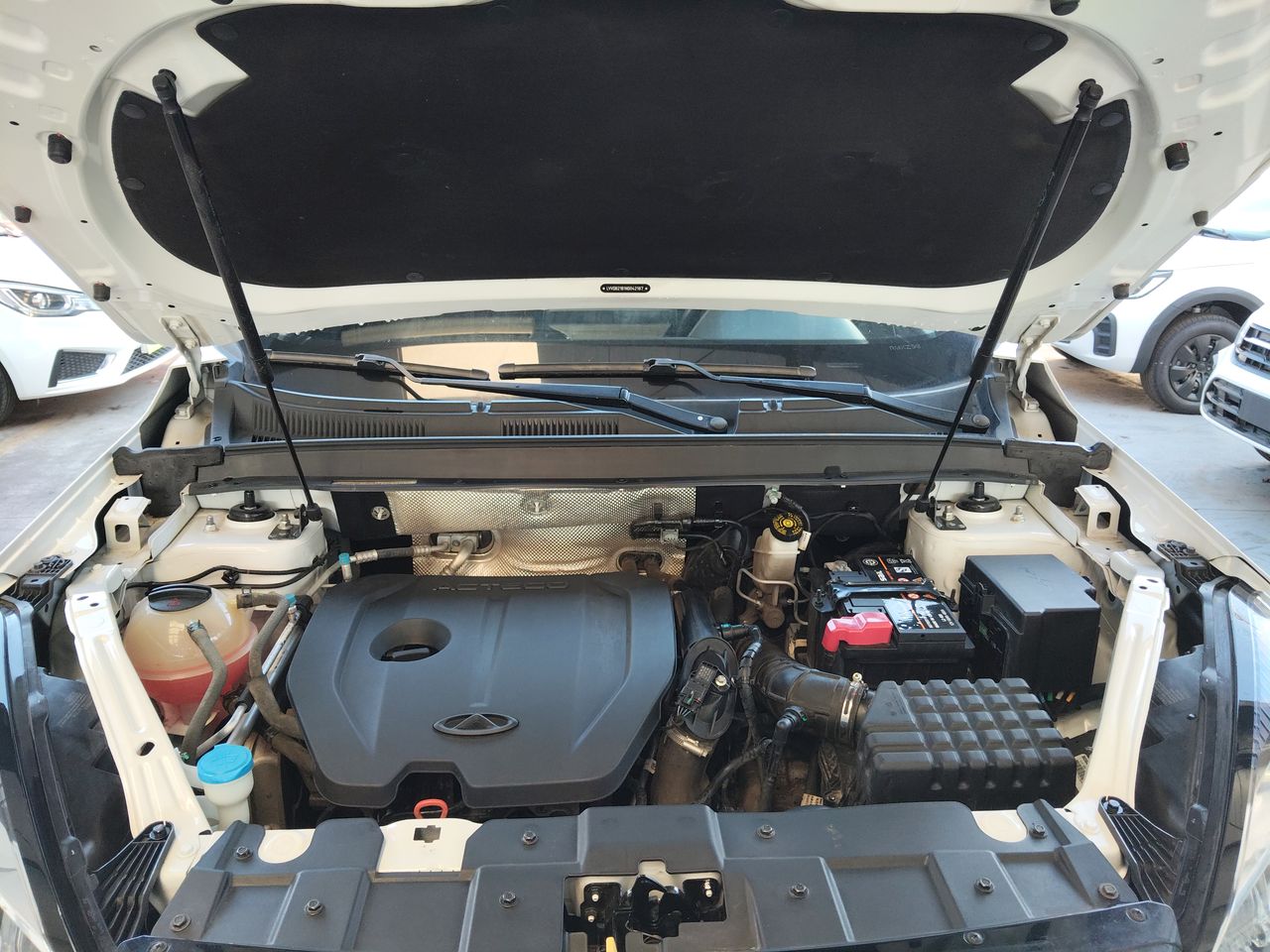 CHERY - 18