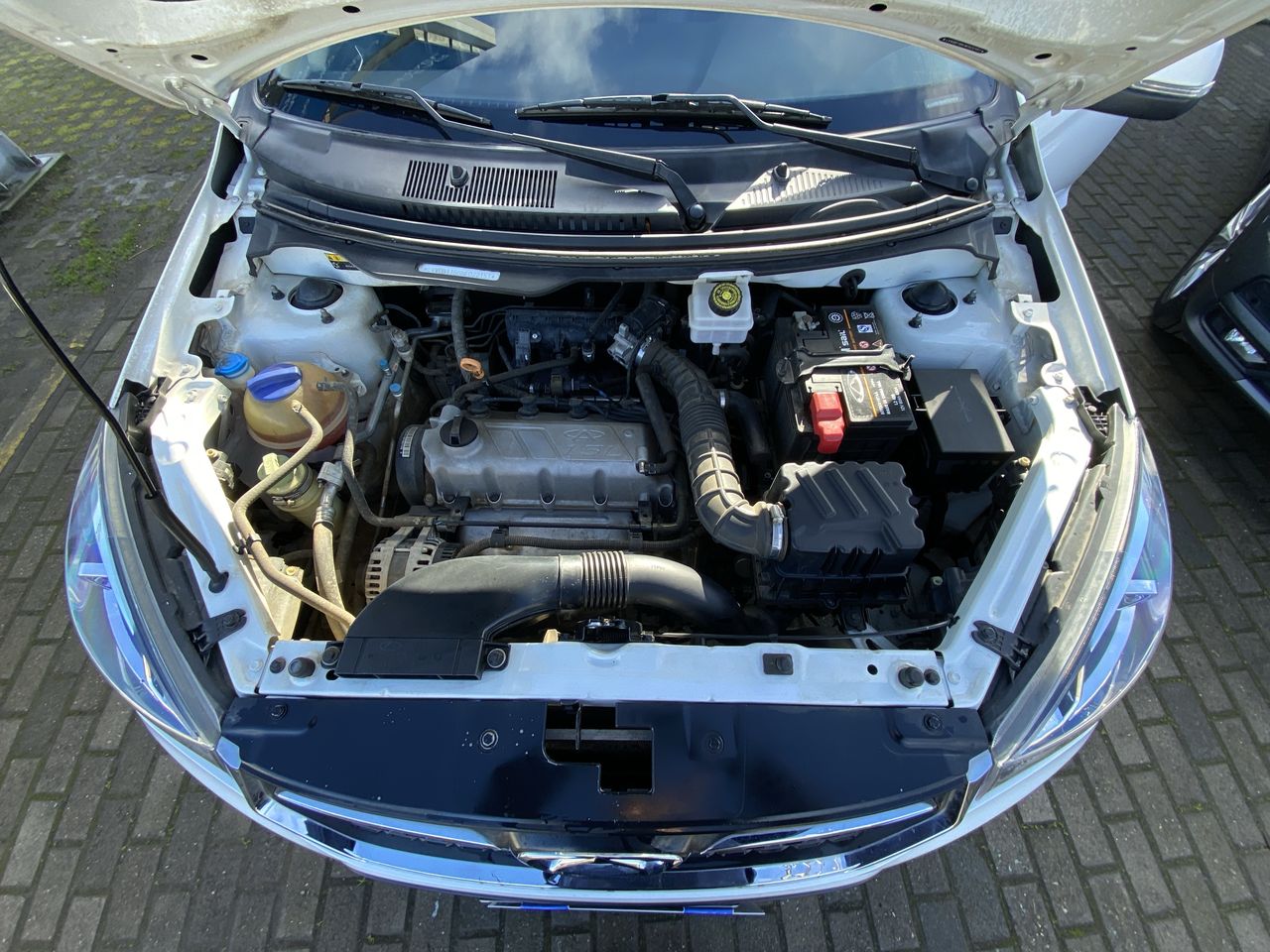CHERY - 16