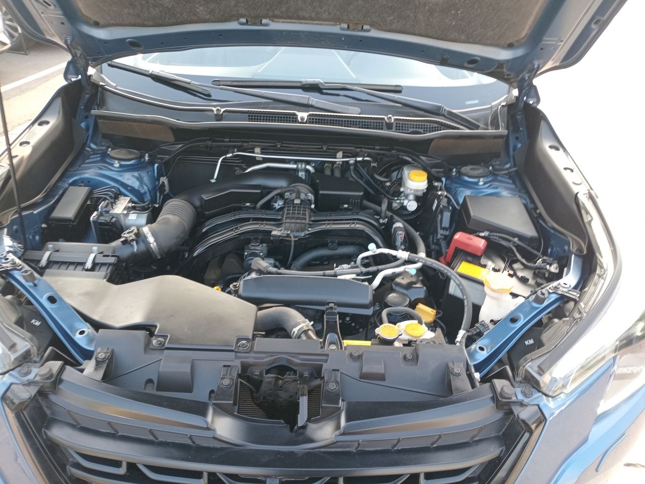 SUBARU - 8