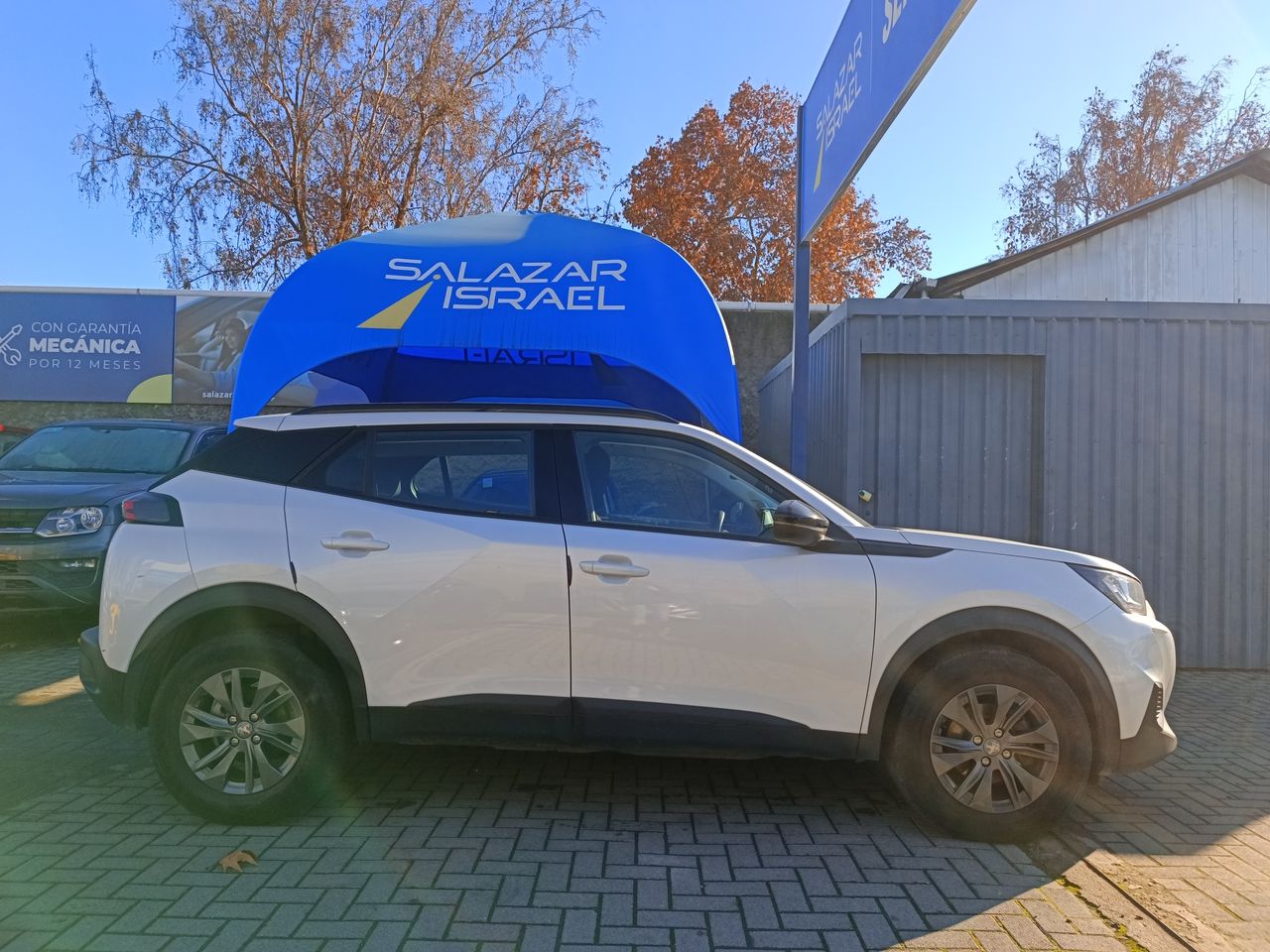PEUGEOT - 8