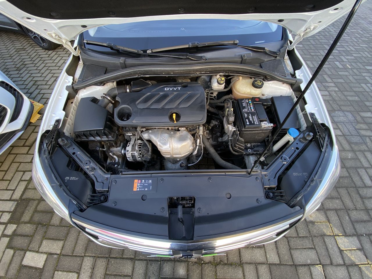 MG - 10
