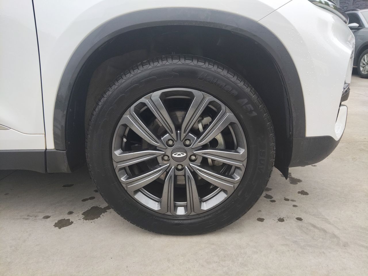 CHERY - 17