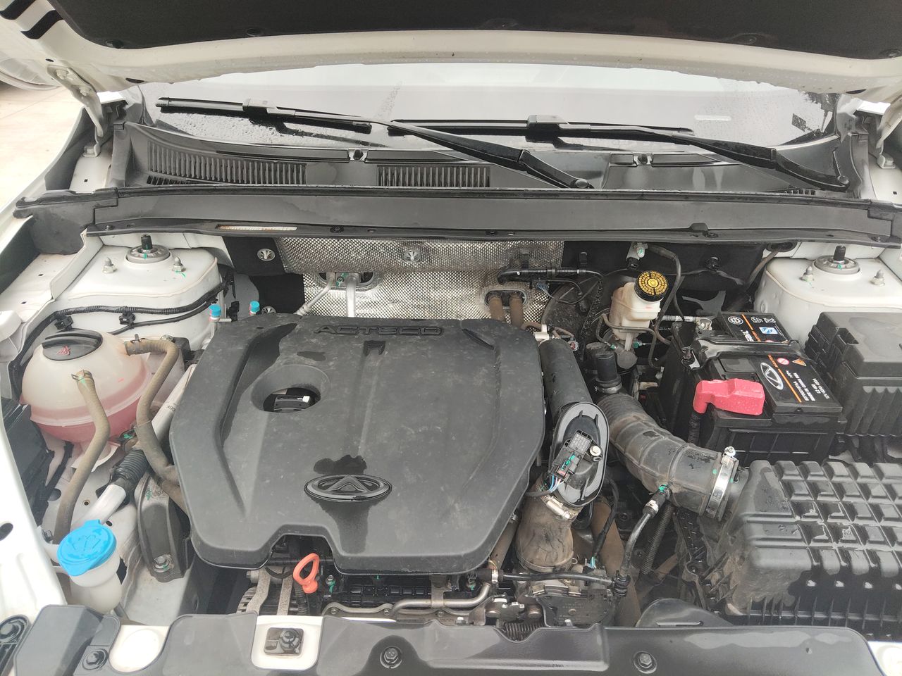 CHERY - 18