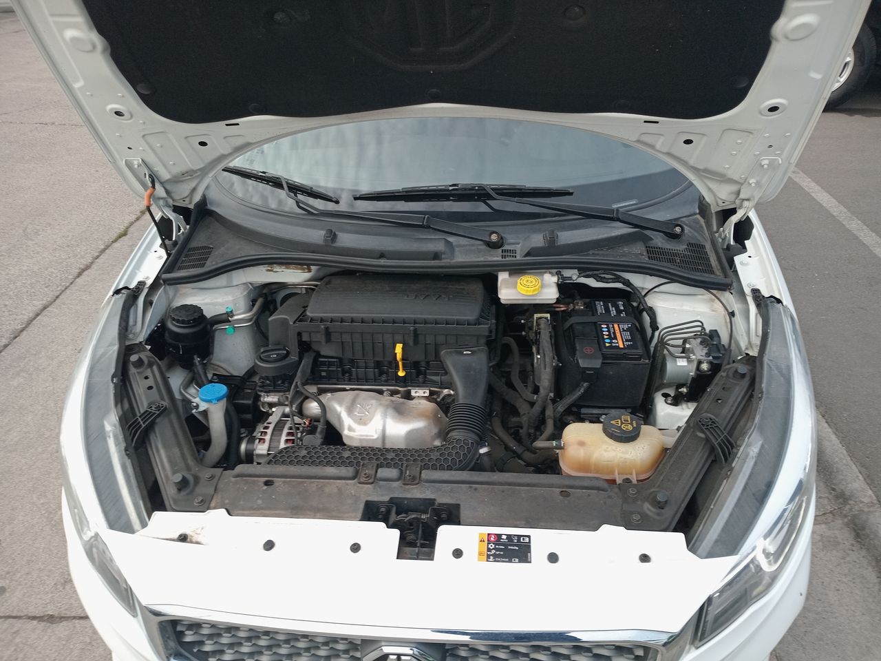 MG - 8