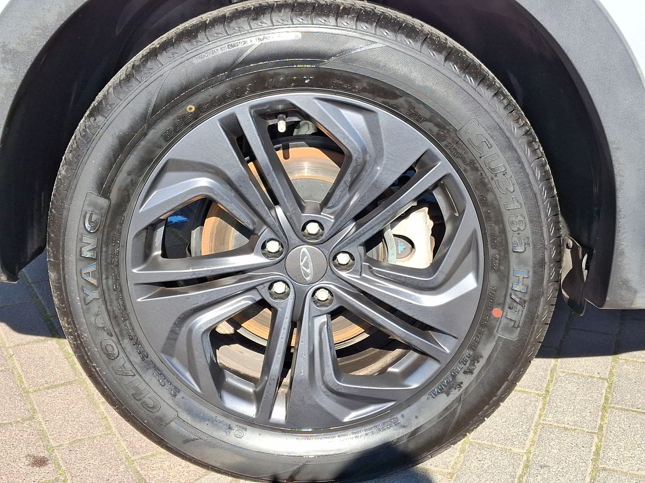 CHERY - 17
