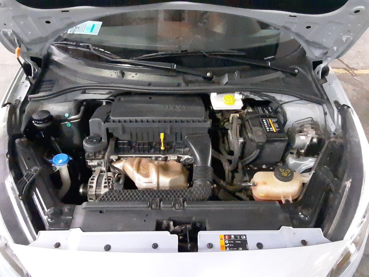 MG - 10