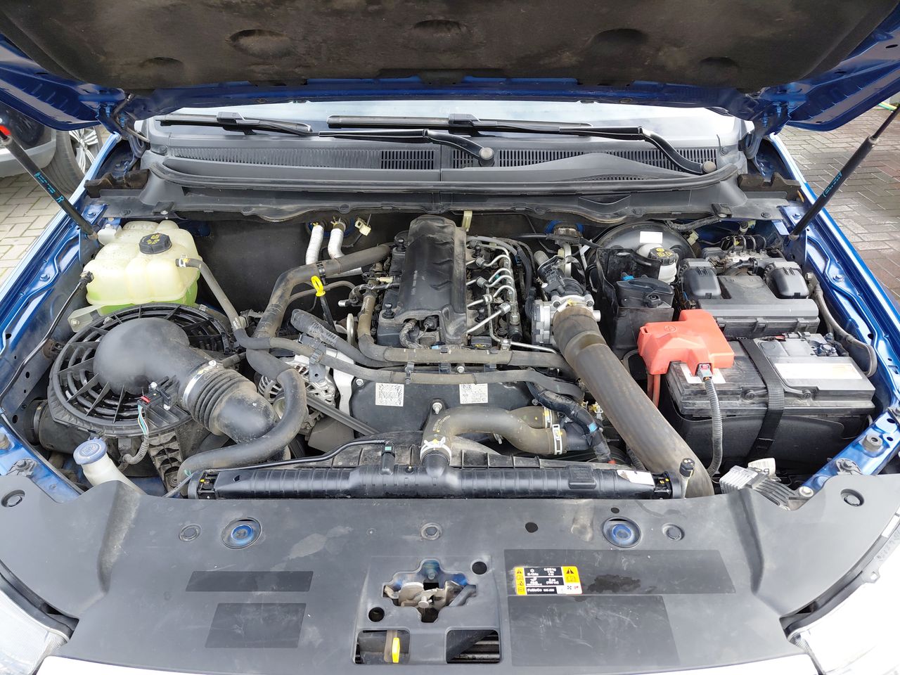 FORD - 8