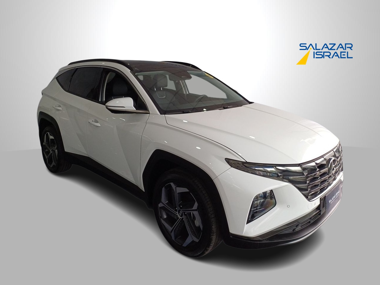 HYUNDAI TUCSON 1.6 HEV NX4 LIMITED HIBRIDO 2WD AT 5P 2023