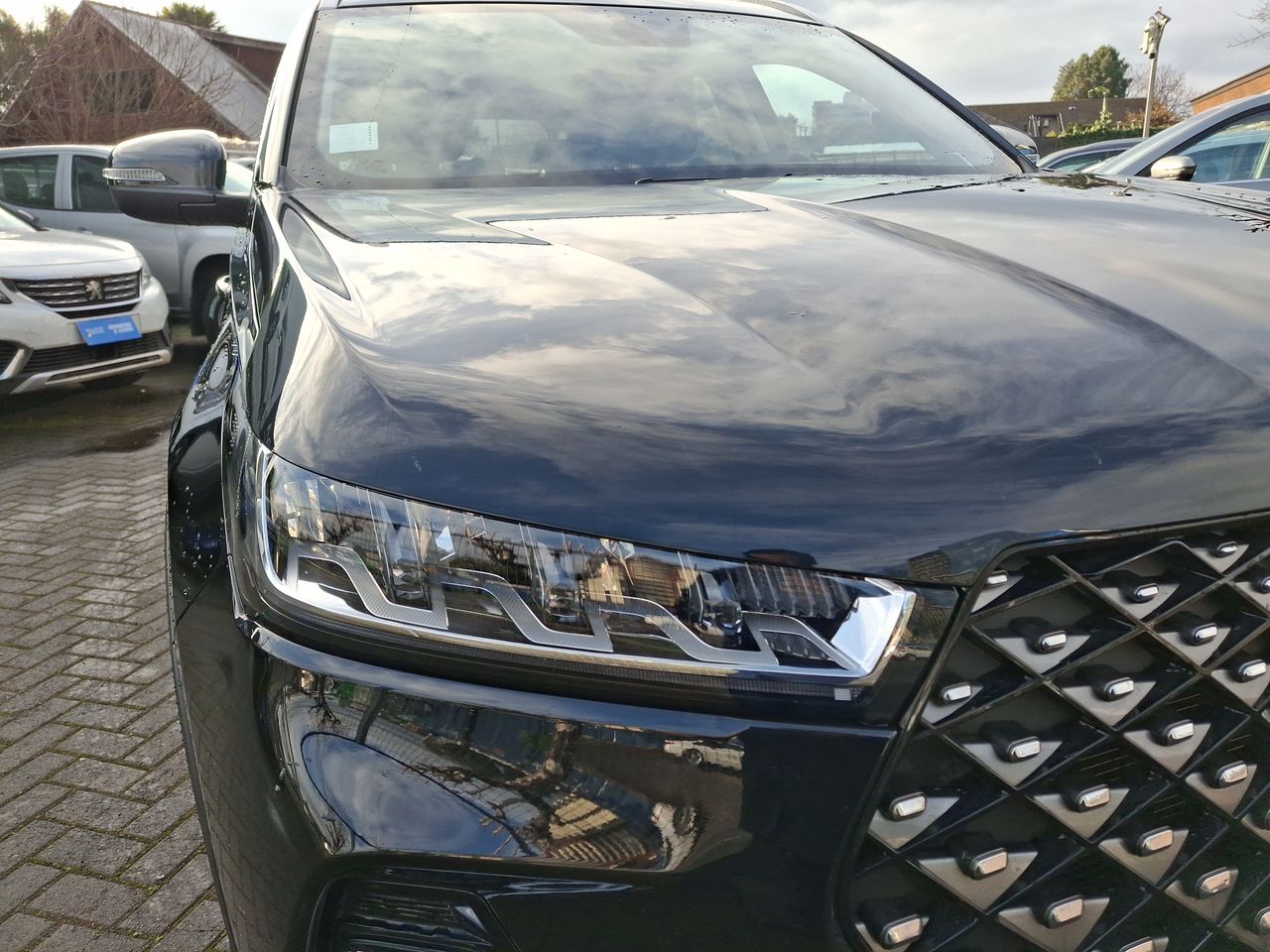 CHERY - 18