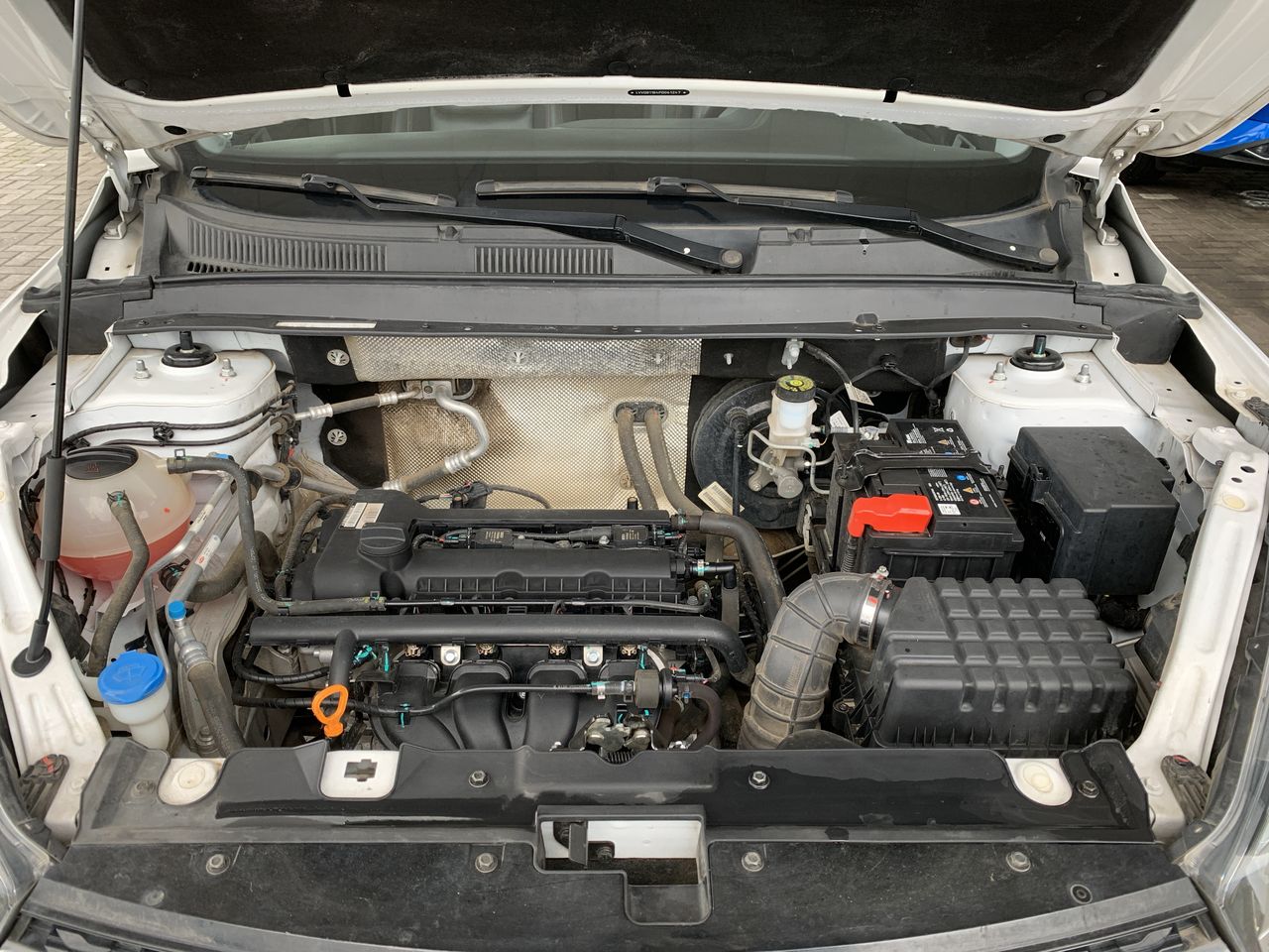 CHERY - 18