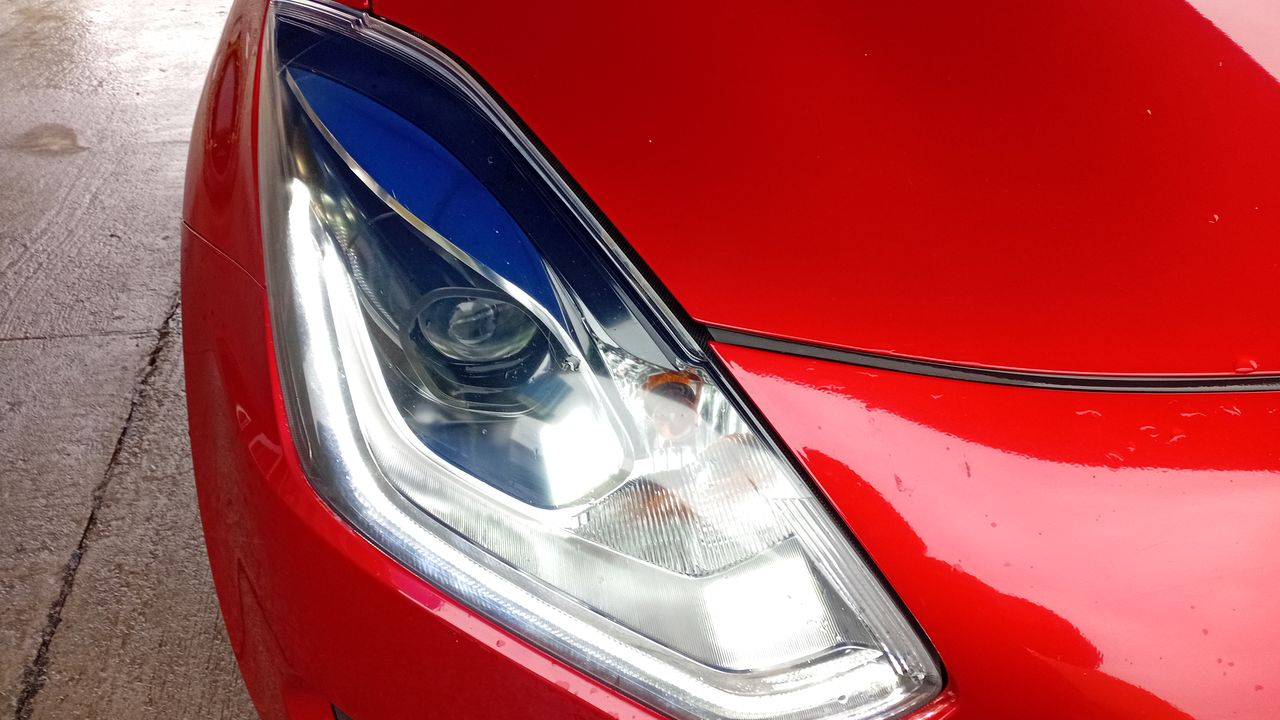 SUZUKI - 10