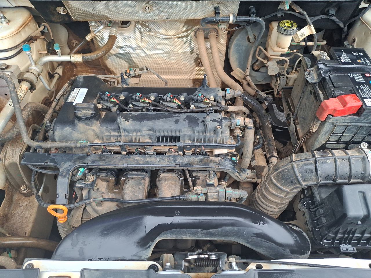 CHERY - 17