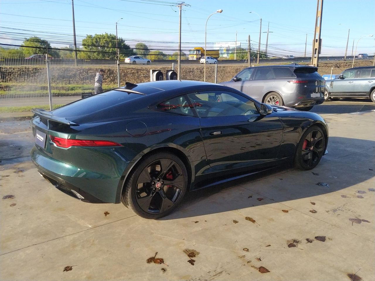 JAGUAR - 7