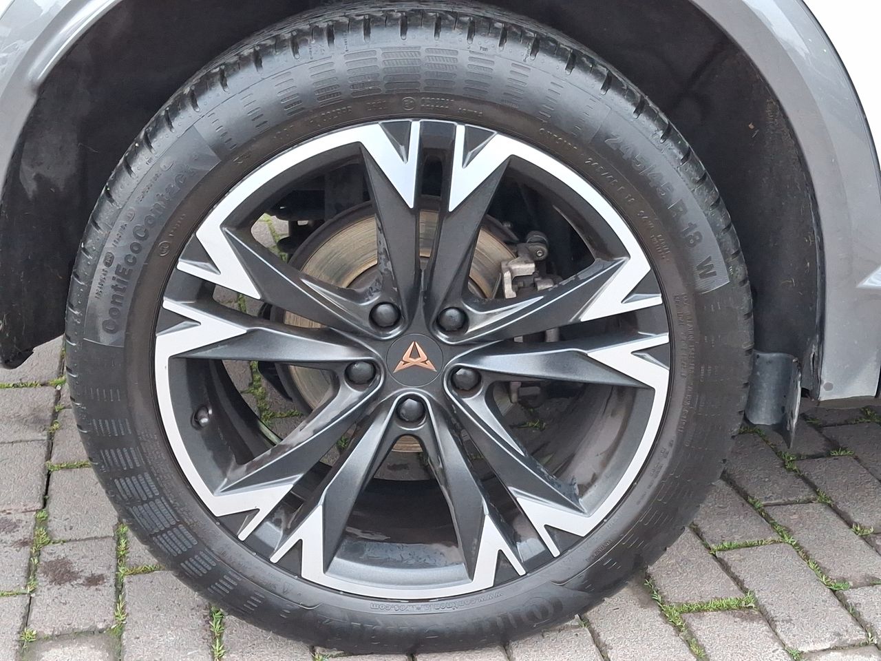 CUPRA - 17